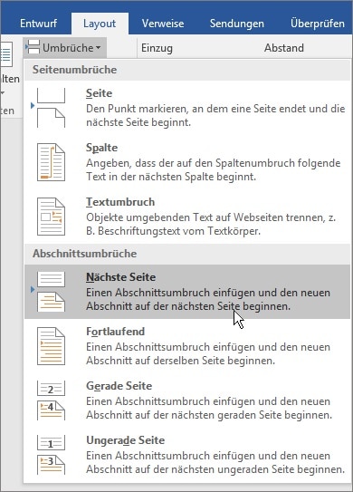Seitennummerierung Word: Abschnittsumbruch einfügen