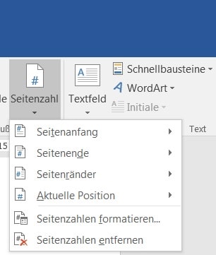 Seitenzahl neu einfügen